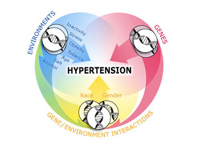 Hypertension. Causes, symptoms and treatment.