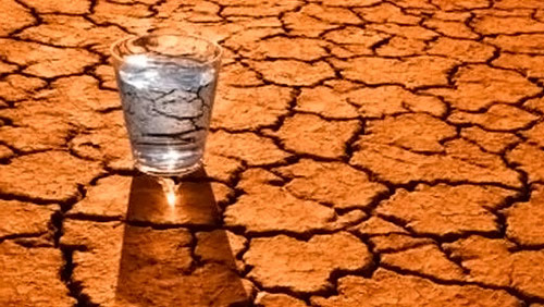 DEHYDRATION IN SENIORS: all you need to know about this illness
